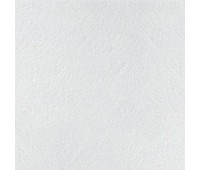 Плита ARMSTRONG Retail, 600х600х12